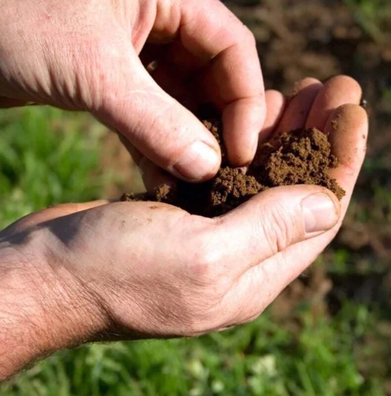 One%20India%20Organic%20Utpad